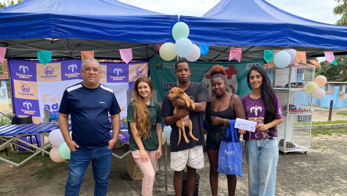 Adoção responsável: cães e gatos aguardam um lar no CCZ 3 feira de adocao