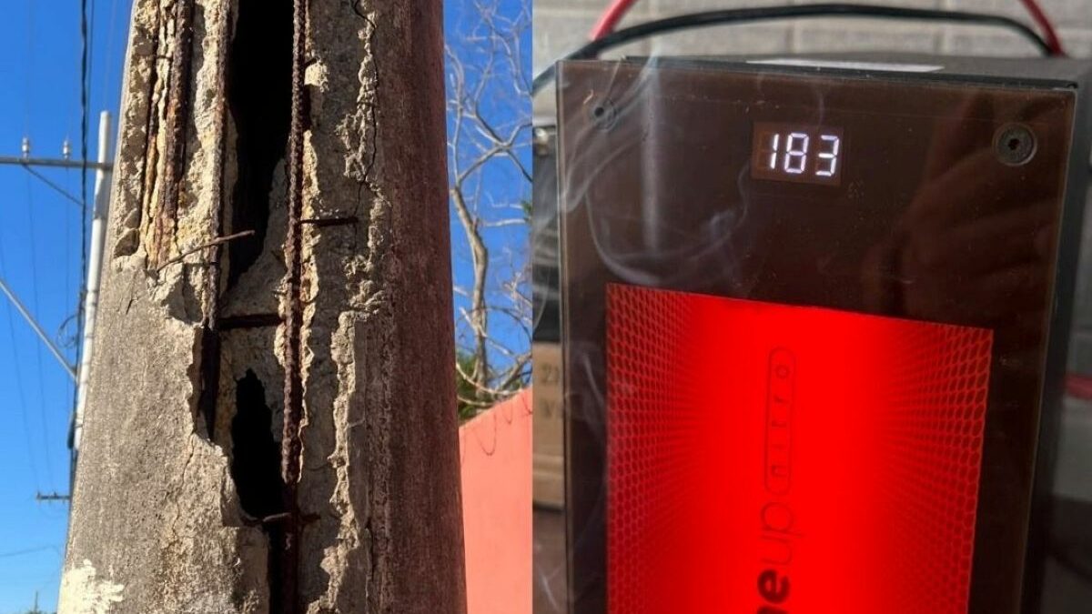 Como sobreviver ao descaso e à 180 volts?