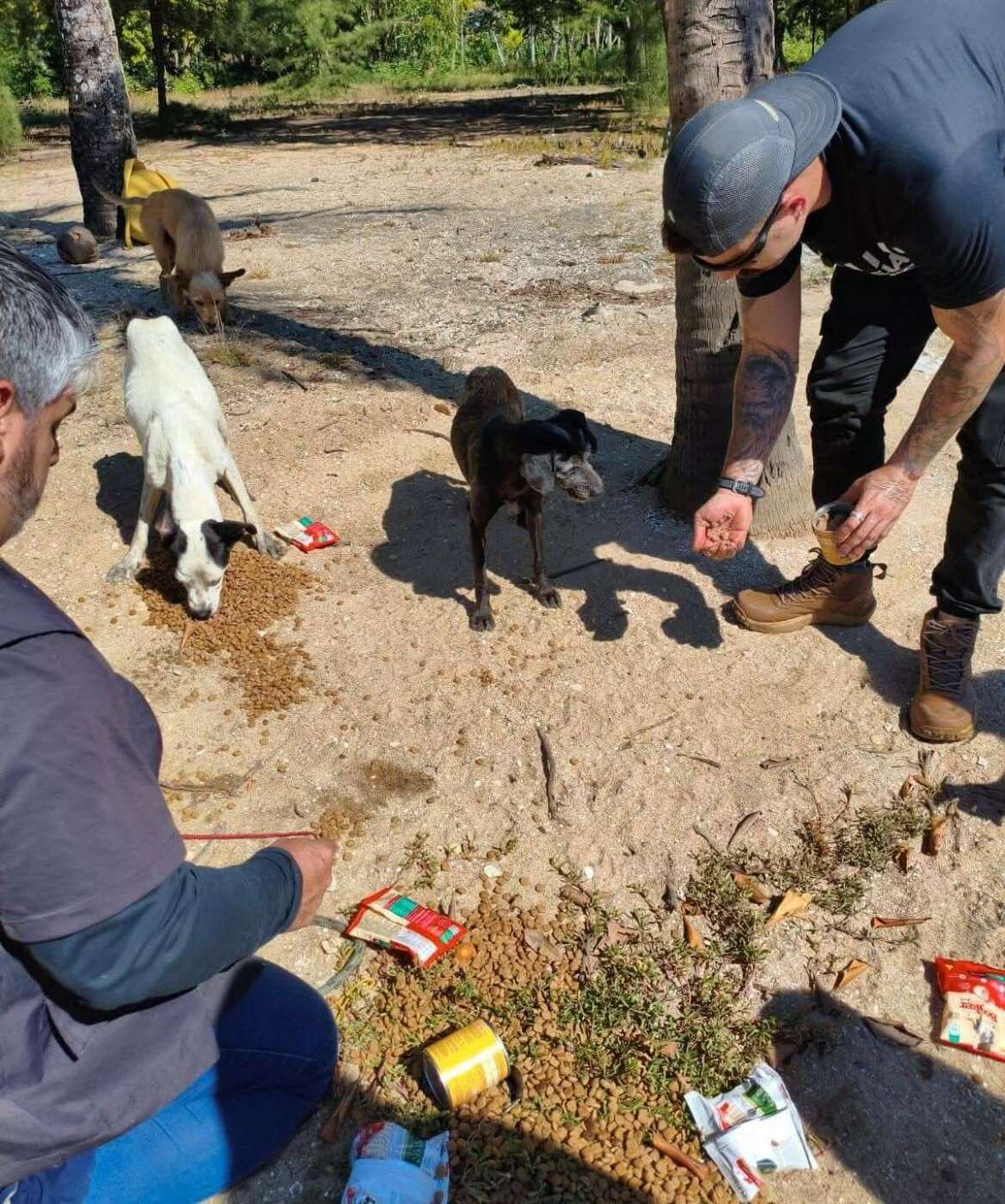 Cão é resgatado em ilha de Guarapari; buscas por outros dois continuam 4 WhatsApp Image 2026 07 27 at 16.51.35 1