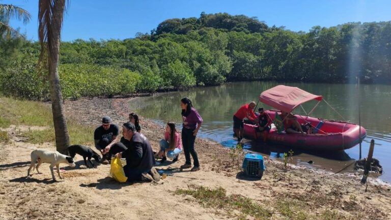 Cão é resgatado em ilha de Guarapari; buscas por outros dois continuam