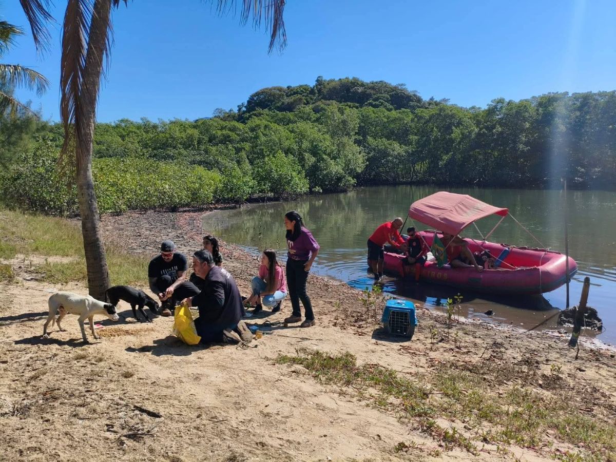 Cão é resgatado em ilha de Guarapari; buscas por outros dois continuam 1 WhatsApp Image 2026 07 27 at 16.51.35 2