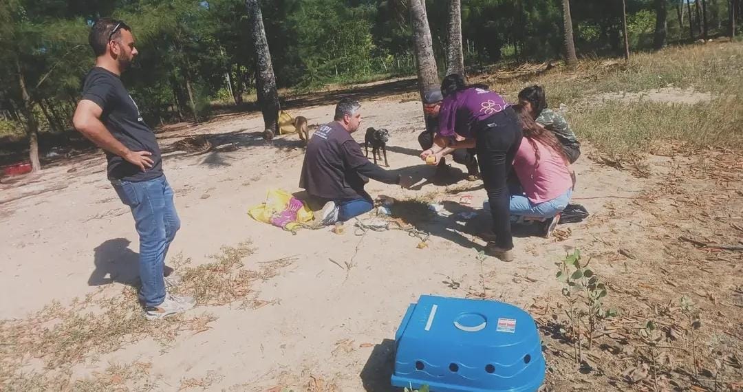 Cão é resgatado em ilha de Guarapari; buscas por outros dois continuam 2 WhatsApp Image 2026 07 27 at 16.51.35
