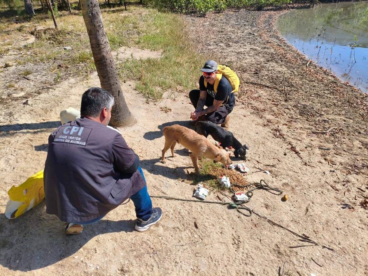 Cão é resgatado em ilha de Guarapari; buscas por outros dois continuam 3 WhatsApp Image 2026 07 27 at 16.51.36