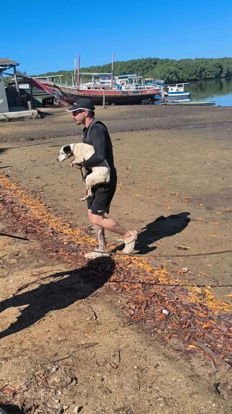 Final feliz: últimos cães isolados em ilha de Guarapari são resgatados 4 dog concha 3
