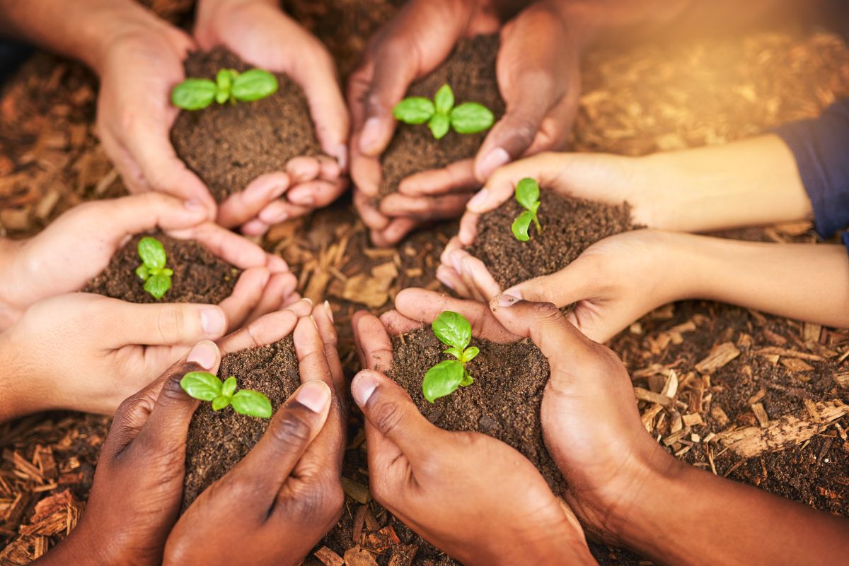 meio ambiente ecologia sustentabilidade conscientizacao ambiental terra planta