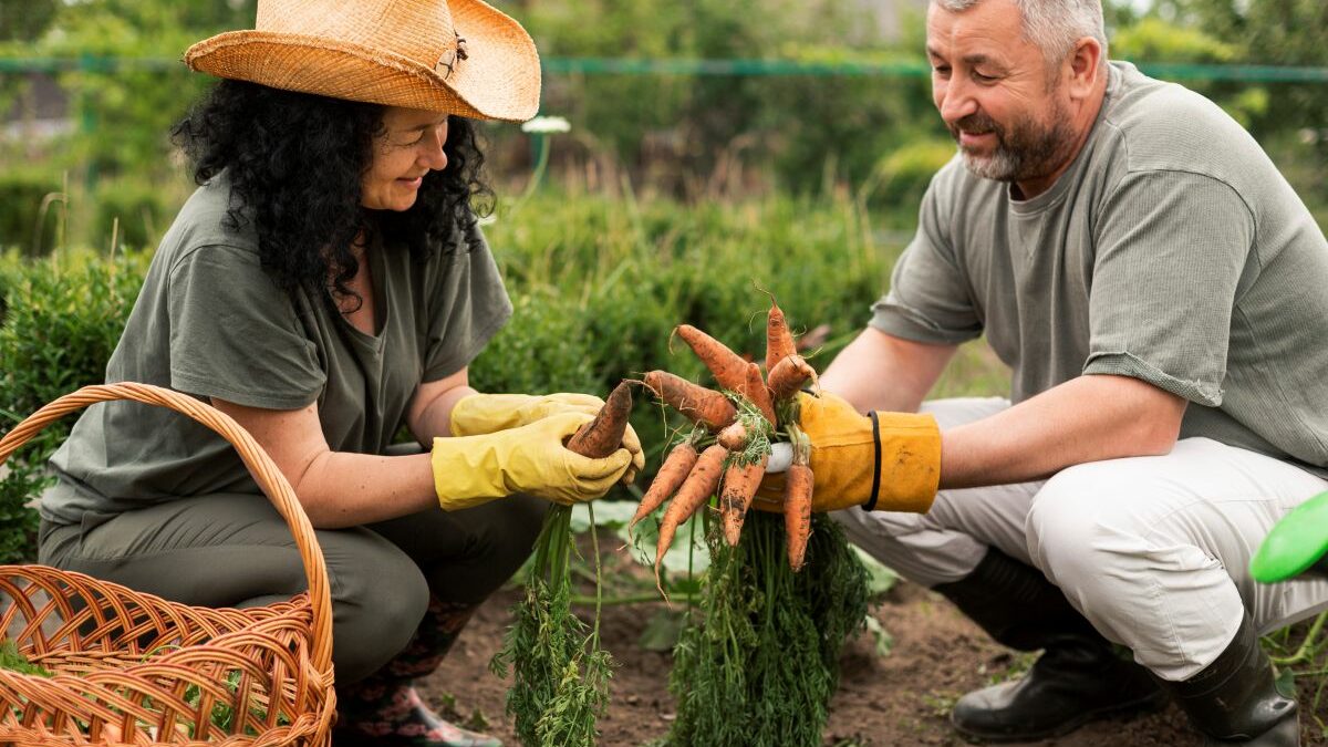 Semana da Agricultura Familiar terá capacitações e novidade