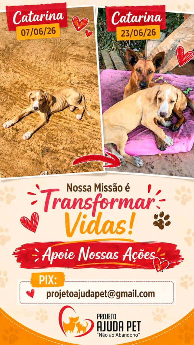 Quem cuida de quem cuida? 7 Projeto Ajuda Pet 1