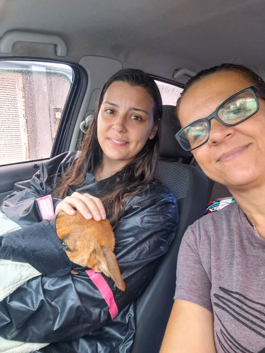 Quem cuida de quem cuida? 4 Voluntarias no resgate da Sol Luana e Madalena