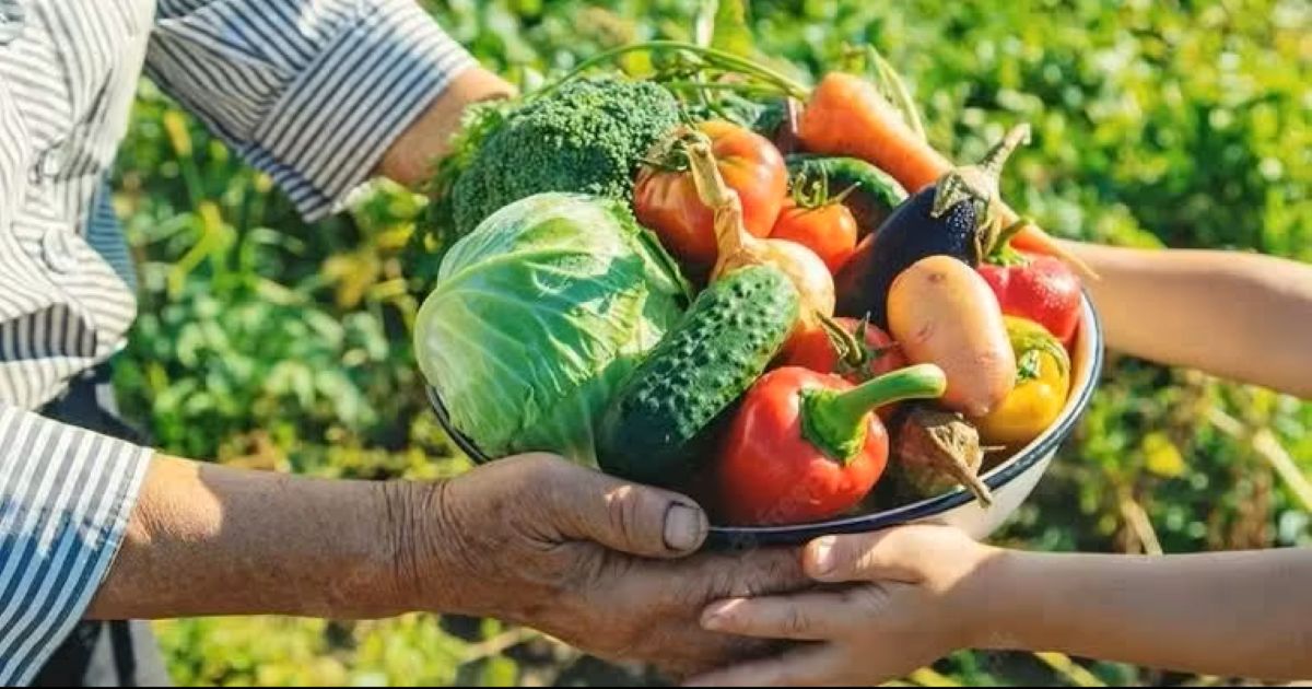 Programa fortalece agricultura familiar em Alfredo Chaves