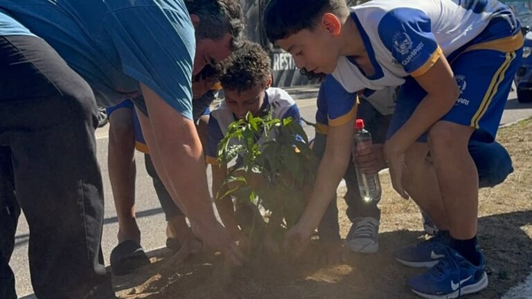 Plantio de mudas ganha vias importantes de Guarapari