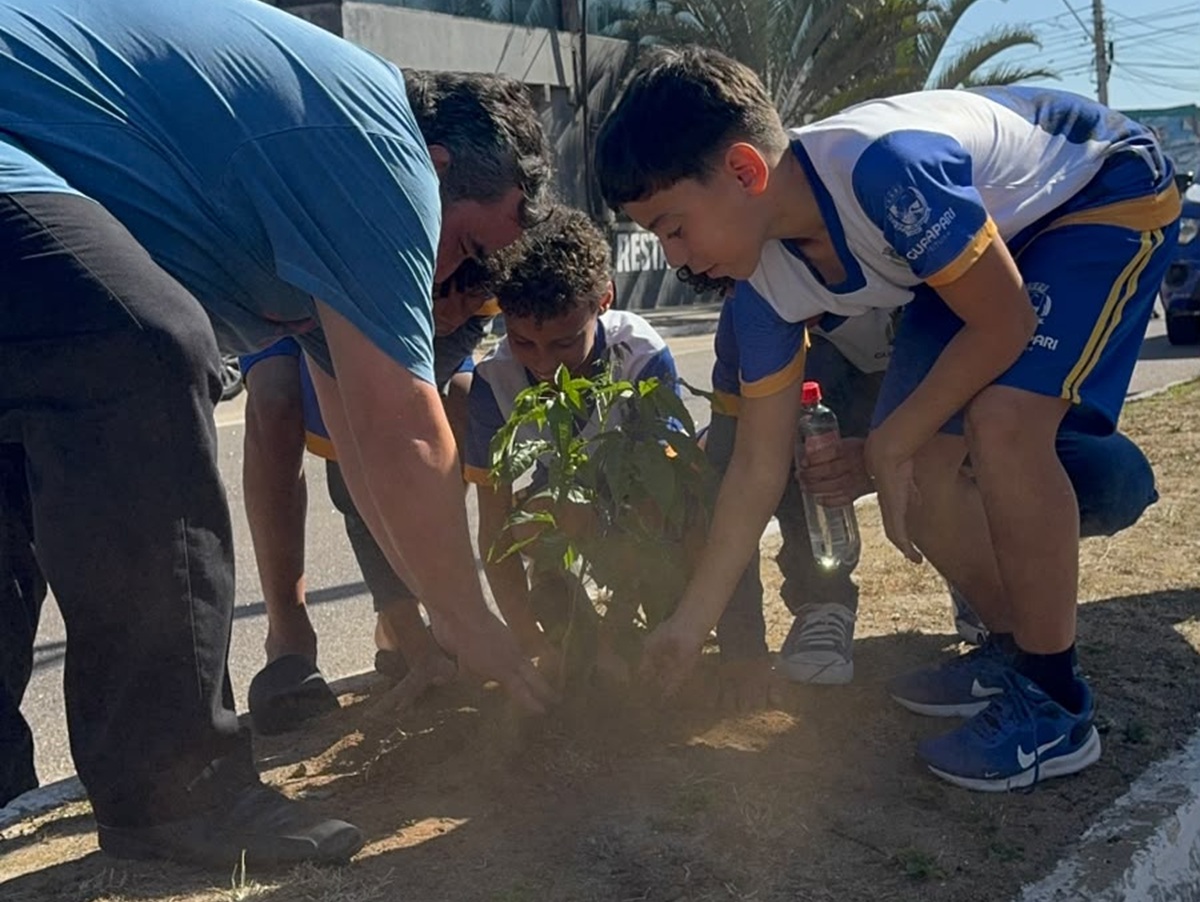 Plantio de mudas ganha vias importantes de Guarapari 1 arborizacao PMG