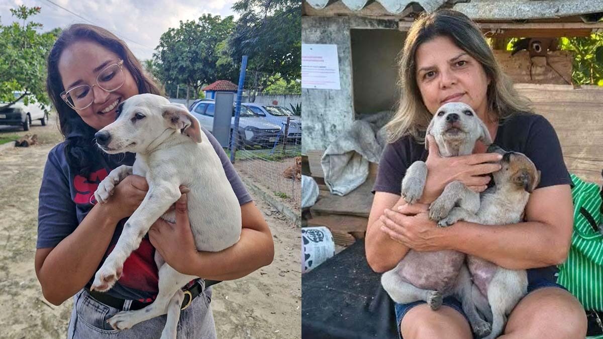 Quem cuida de quem cuida?