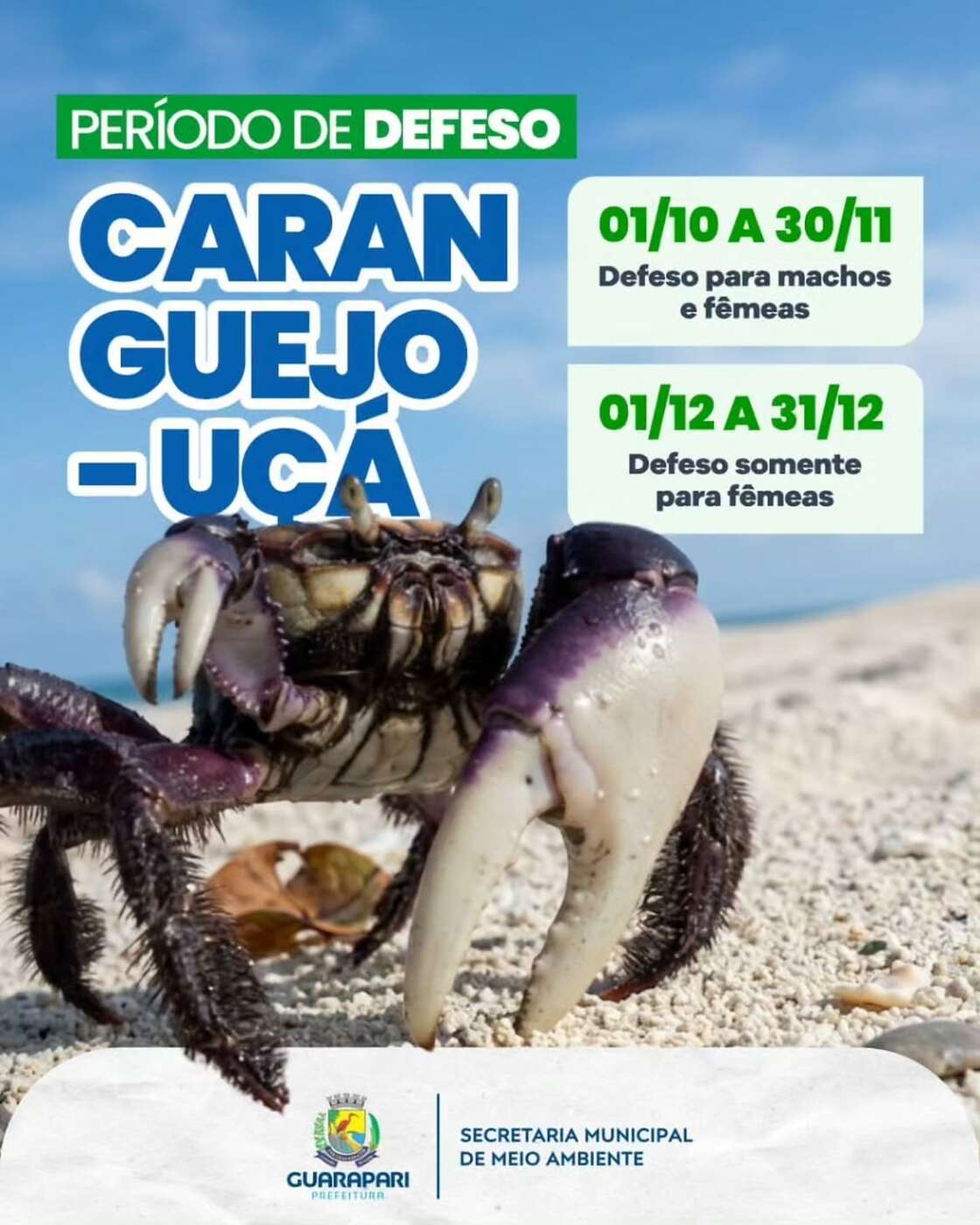 Defeso do caranguejo-uçá começa em Guarapari 2 ATENCAO PERIODO DE DEFESO DO CARANGUEJO UCA 🦀🍃A Prefeitura de Guarapari por meio da Secreta