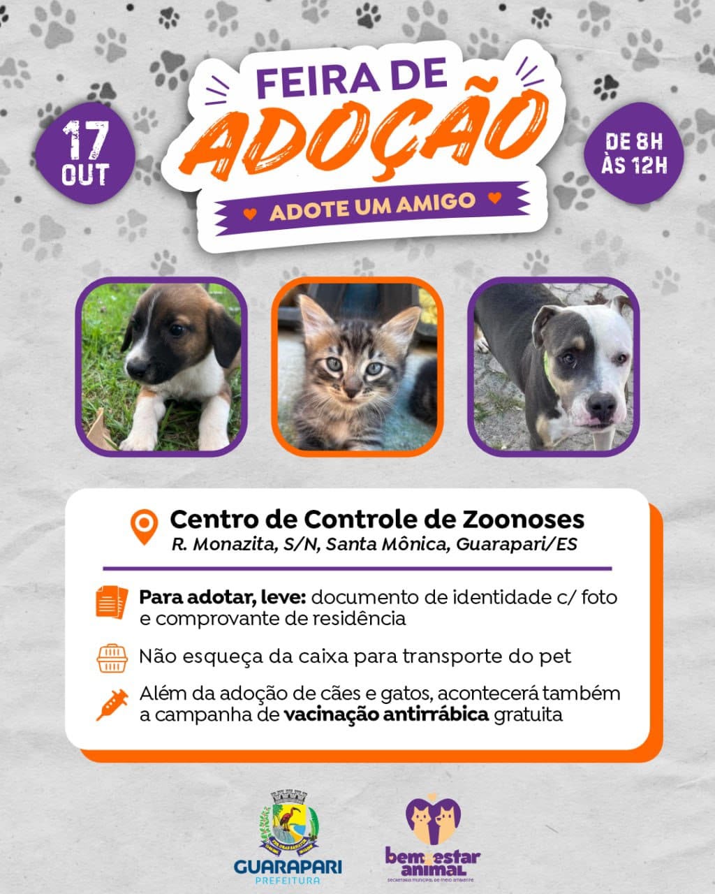 Sábado pet: Guarapari promove feira de adoção e Dia D antirrábica 2 feira adocao PMG