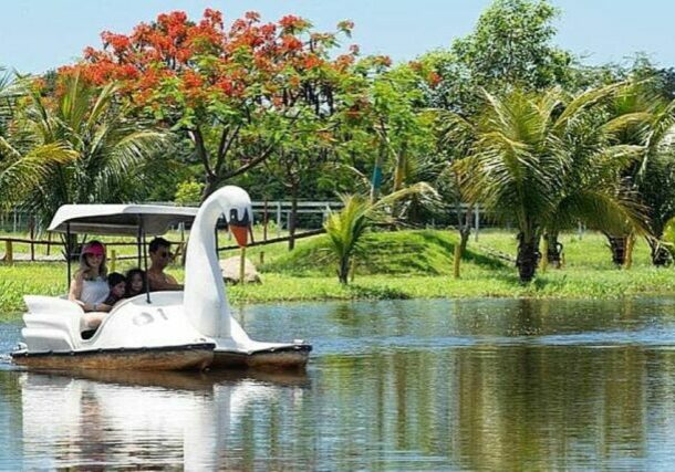 41313_28022020_900x500