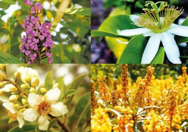 55940_19032026_900x500