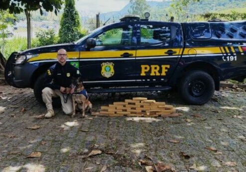 62ec0981-cb84-4f7c-ac5a-d3bb5eeecd9d