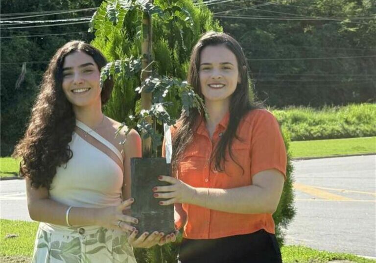 Arborização Urbana Alfredo chaves - mudas, arvores plantio