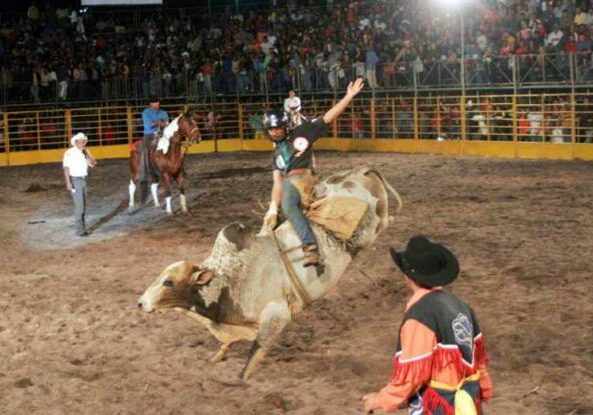 Clube do cavalo festa2