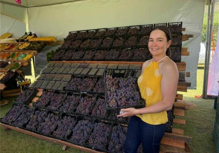 Festival da Uva e do Vinho