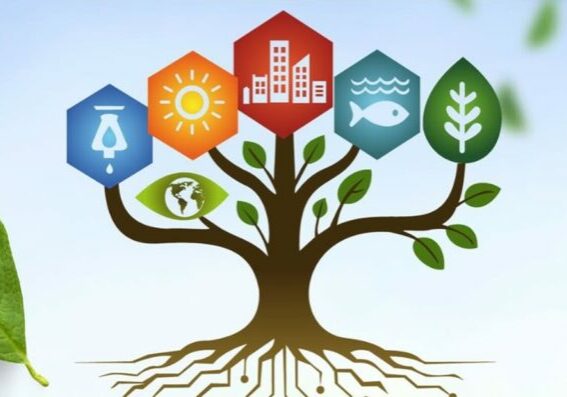 SnapInsta.to_551678421_18055644464544207_8631208755430411018_n