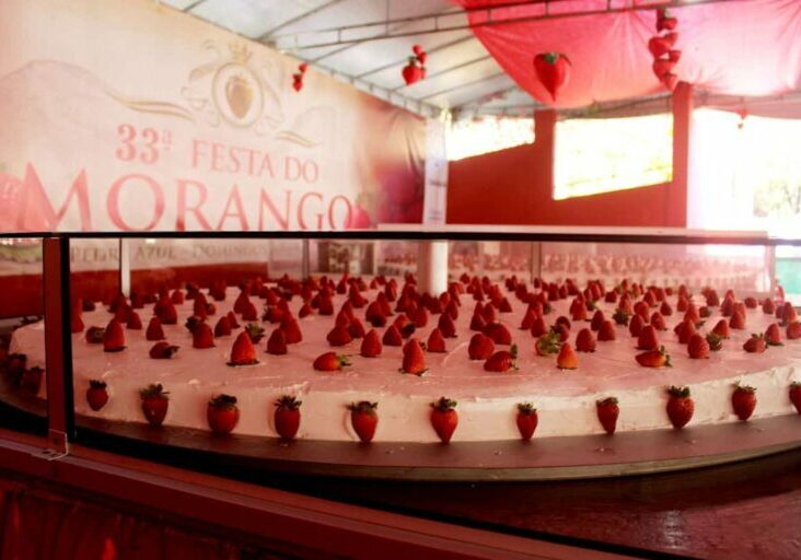 Torta-gigante-1