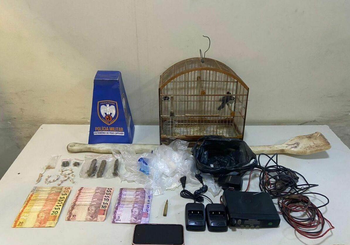 WhatsApp Image 2026-02-19 at 16.06.58