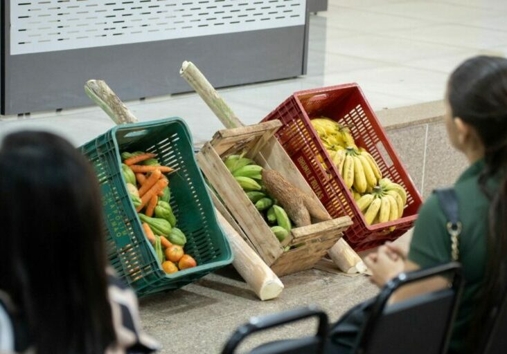 WhatsApp Image 2026-03-03 at 14.55.19