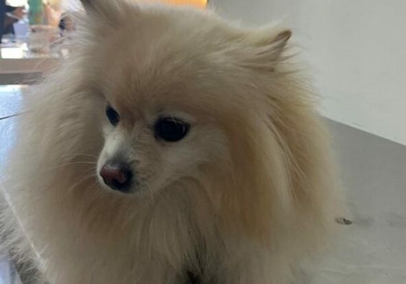 aff549df-164b-47be-89cd-a138824ffb35