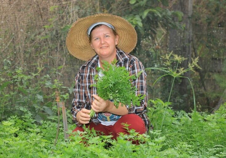 agro gov estado arquivo