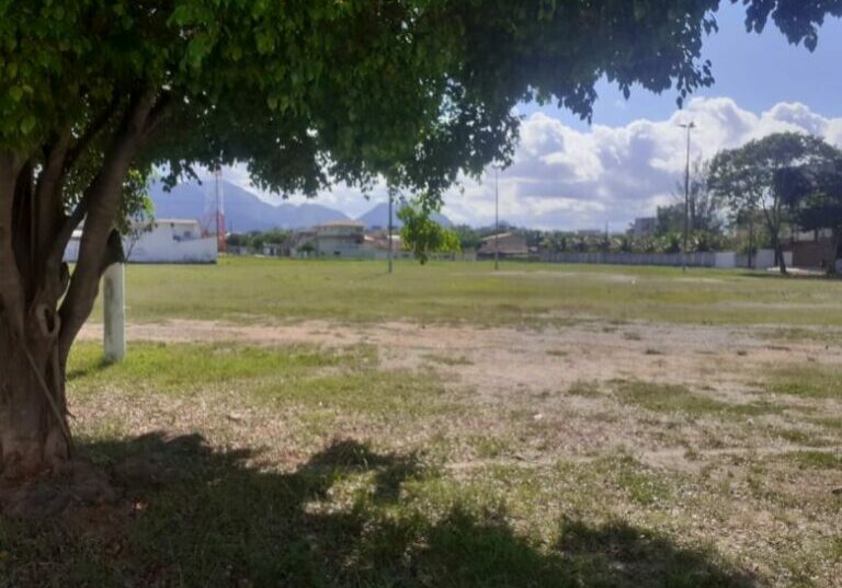 antonio_ribeiro_artigo-2021-06-07 (1)