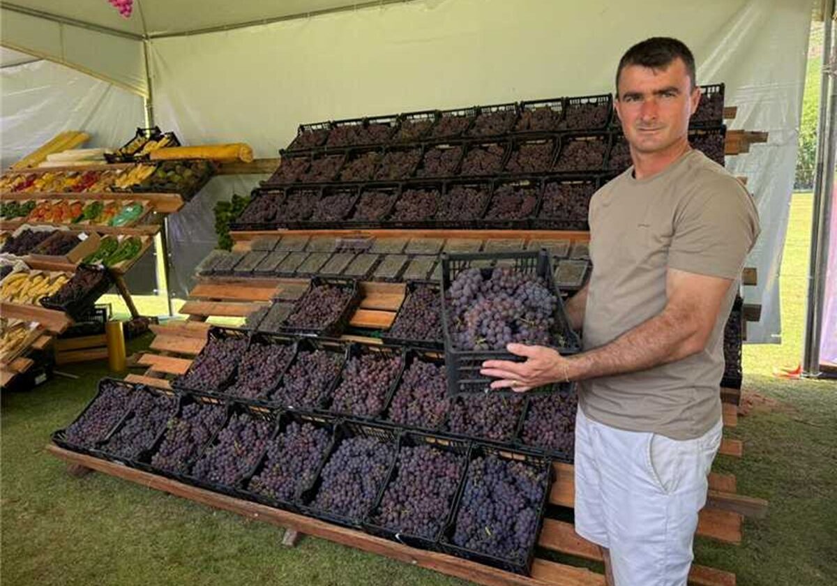 capa festival da uva alfredo