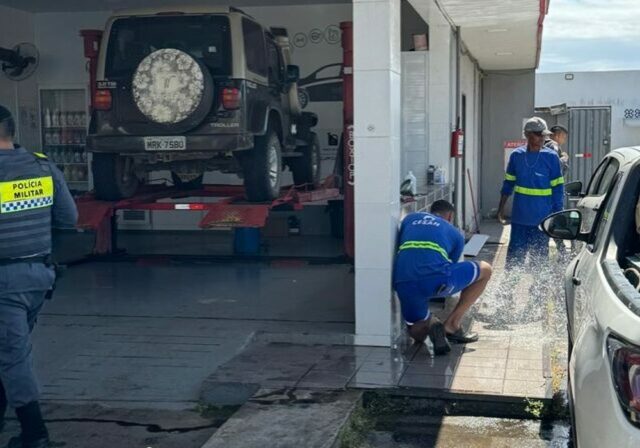 cesan gato em posto - Copia