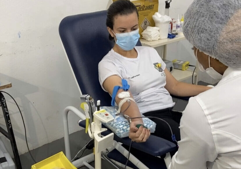 hifa-doacao-de-sangue-2-e1683912457168