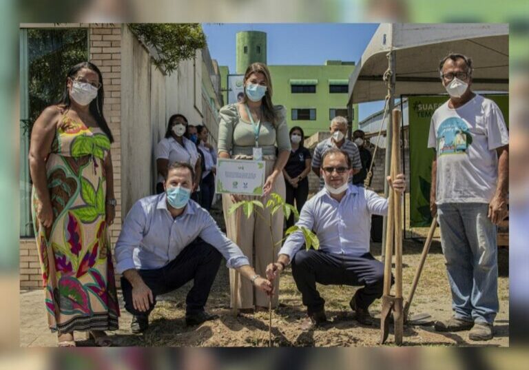 hifa-plantinha-cover-2022-04-14