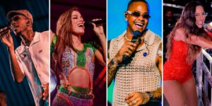 hit carnaval custom crop