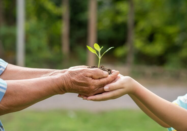 meio ambiente - Freepik