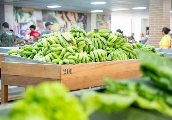 projeto cestas verdes (1)