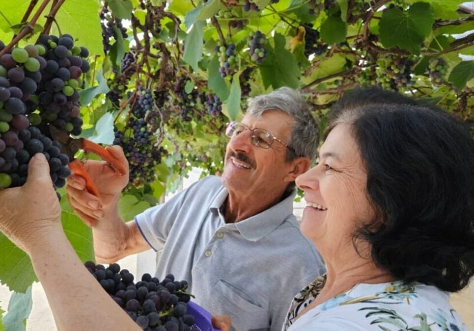 sitio-uva-marechal-3