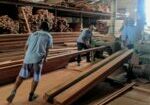 Funcionários da Tofoli realizam corte de peça em madeira.