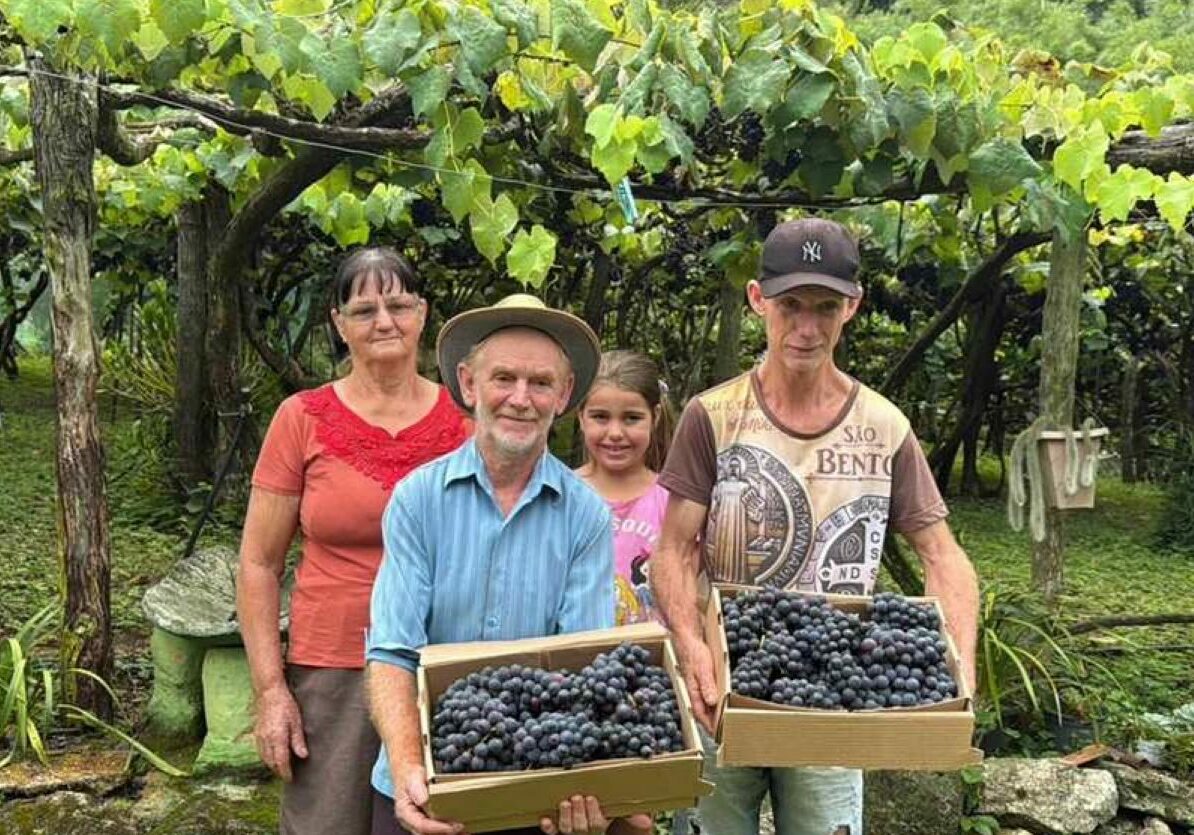 viticultor Severino Busato