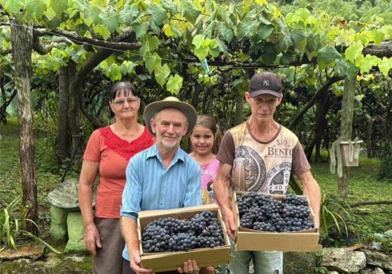 viticultor Severino Busato